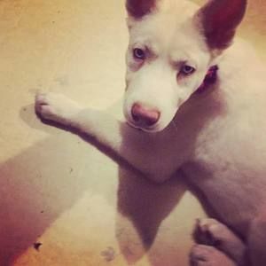 Meet your Posher, Haley